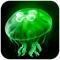 eggjelly官方版