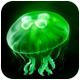 eggjelly官方版v1.4