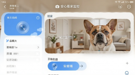 安心看家监控 v1.0.0 app下载 截图