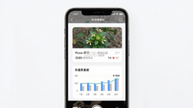拍照查 v1.0.0 app下载 截图