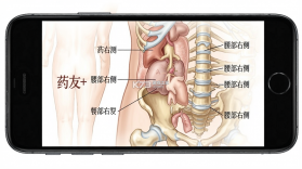药友+ v2.1.2 安卓app安装下载 截图
