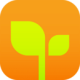 亲宝宝appv11.15.5