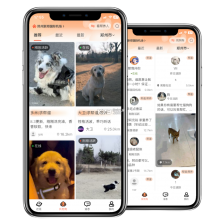 爱犬 v5.5.8 安卓app安装下载 截图