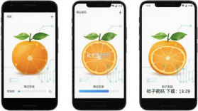 桔子密码 v1.0.4 app下载免费 截图