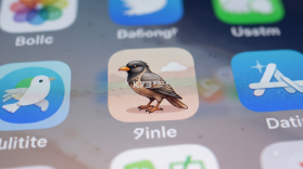 夕鸟 v2.0.32 安卓app安装下载 截图