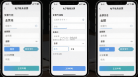 个人电子税务发票 v1.0.0 安卓app安装下载 截图