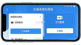 交通违章处理宝 v1.0.1 app下载免费 截图