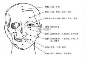 循经百问 v0.8.9 安卓app安装下载 截图