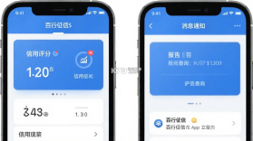 百行征信 v1.2.24 app下载免费 截图