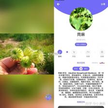 植迹 v2.0.0 安卓app安装下载 截图