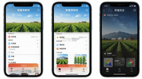 荣耀渭南网 v9.0.1 下载免费 截图