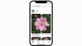 媒瑰花 v0.7.0 下载免费 截图