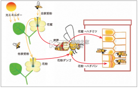 诗柚古文AI学习助手 v1.2.0003 安卓下载软件 截图