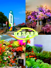 花乡花 v1.2.1 下载手机版 截图