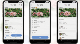 花乡花 v1.2.1 下载手机版 截图