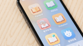 红松 v5.9.95 下载官方版 截图