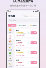 轻断食饮食记录 v3.0.0.300 安卓下载软件 截图