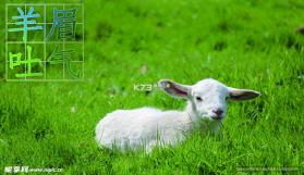 羊眉吐气 v1.0.1 app下载免费 截图