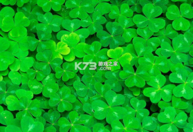 四叶草剧场 v1.303.32.1674 下载手机版 截图