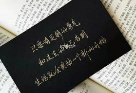 文案狗 v1.8.7 app下载免费 截图