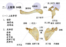 合并猫咪小镇 v2.2.9 下载手机版 截图