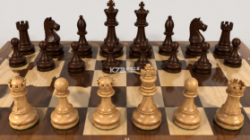 国际象棋(Chess) v2.9.5 下载手机版 截图