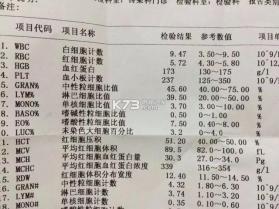 FNF黑色星期五（劣质换皮模组） v0.2.7 安卓下载软件免费 截图
