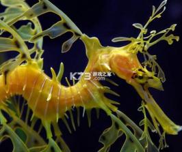 海龙运力宝 v2.5.1 下载安装 截图