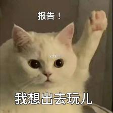 炫屏助手 v2.0.12 下载官方版 截图