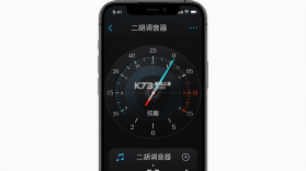 弦趣二胡调音器 v1.4 下载官方版 截图
