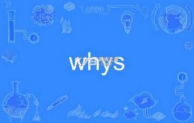 Whys Study v1.0.0 app下载 截图
