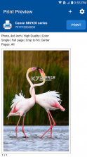 nokoprint v5.28.4 官方安卓版下载 截图