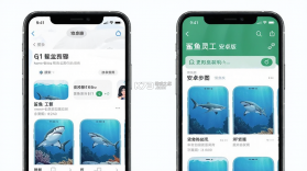 鲨鱼灵工 v2.0.33 下载安卓 截图