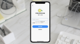 柠檬云财务 v5.4.39 下载免费 截图