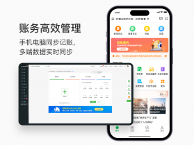柠檬云财务 v5.4.39 下载免费 截图