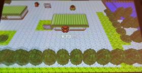 宝可梦3D化Gen1Recomp v0.2.67 手机版下载 截图