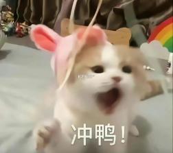驰风畅游 v1.0.0 安卓下载软件 截图