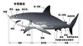 多萌 v1.7.4 下载官方版 截图