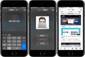 PawView(爪爪王国) v1.4.1 官方app下载安装 截图