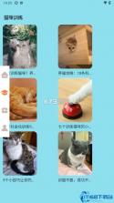 猫咪聊 v1.0.4 下载最新版 截图