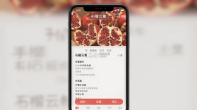 石榴云集 v1.0.0 安卓下载软件免费 截图