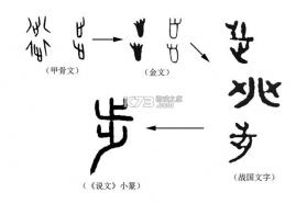 步游四方 v1.0.0 下载官方版 截图