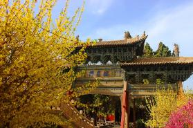 塔罗气泡 v4.6.9 安卓下载 截图