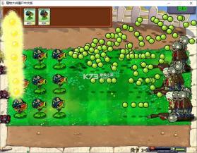 植物大战僵尸大哥版 v1.0 下载手机版 截图
