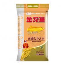 真实驾驶：汽车城市 v1.02 安卓下载软件 截图