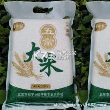 真实驾驶：汽车城市 v1.02 安卓下载软件 截图