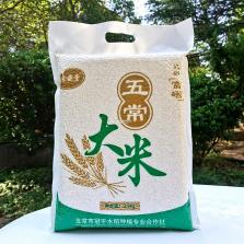真实驾驶：汽车城市 v1.02 安卓下载软件 截图