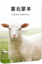 肉帮争霸赛 v2.0 官方app下载安装 截图