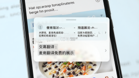 麦片屏幕翻译 v12.8.00 下载安装 截图