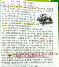 七年级语文上册 v3.1064.39.2 安卓下载软件 截图